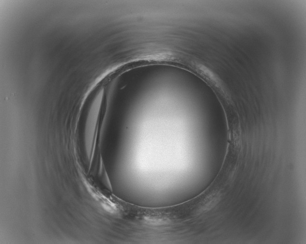 X0000081430532200701191624