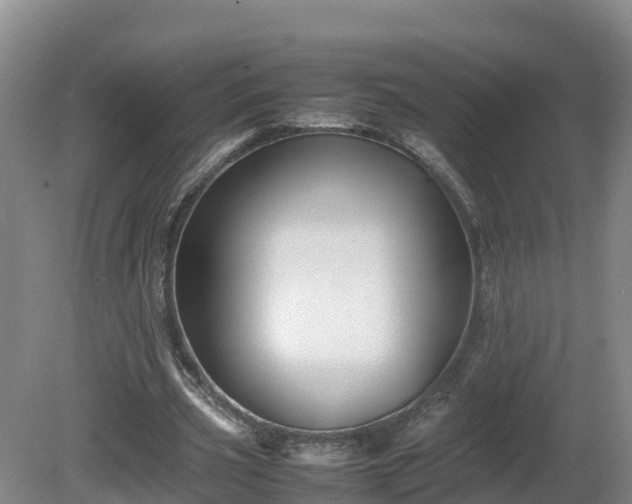 X0000081430533200701191624