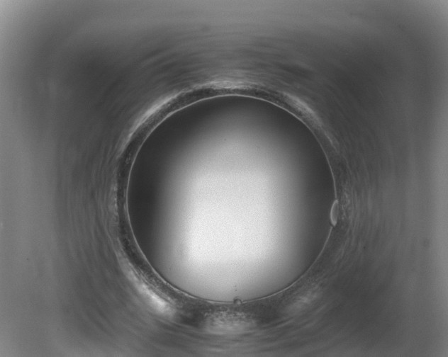 X0000081430535200701191624