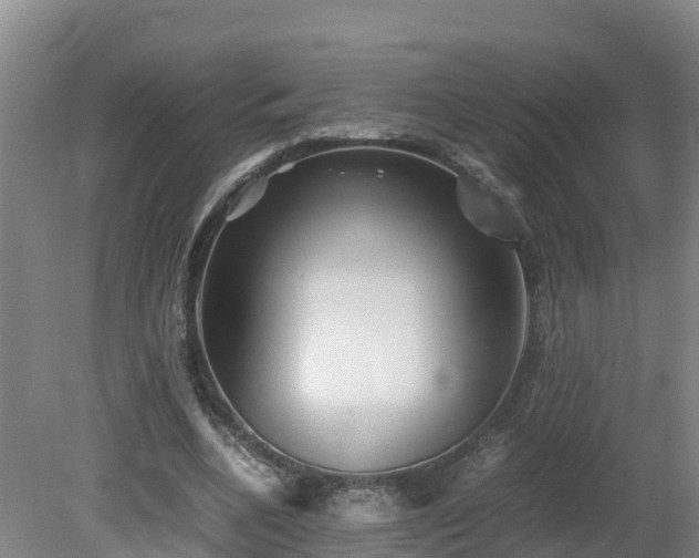 X0000081430536200701191624
