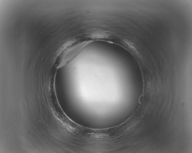 X0000081430539200701191624