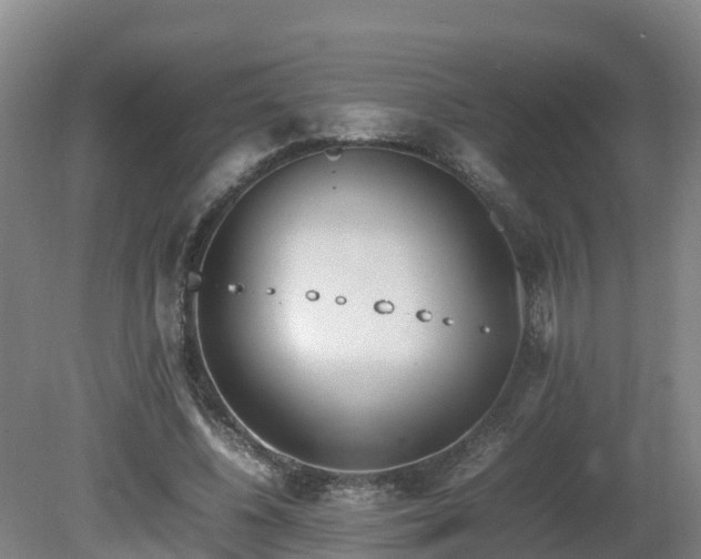 X0000081430540200701191624