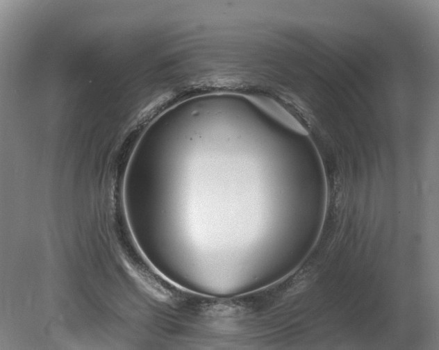 X0000081430542200701191624