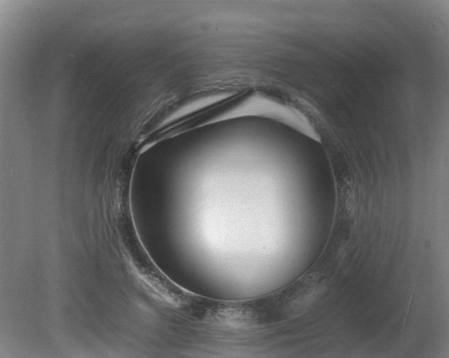 X0000081430546200701191624