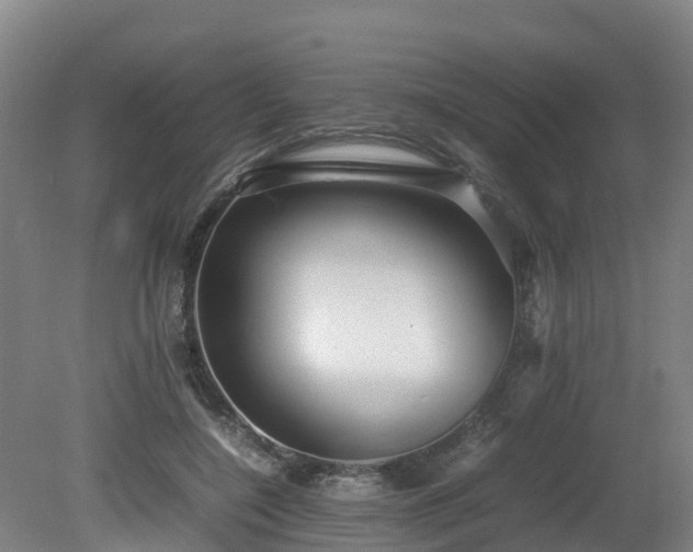 X0000081430548200701191624
