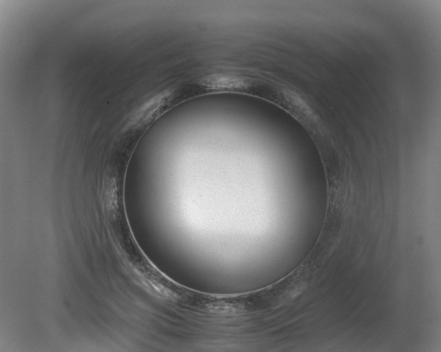 X0000081430549200701191624