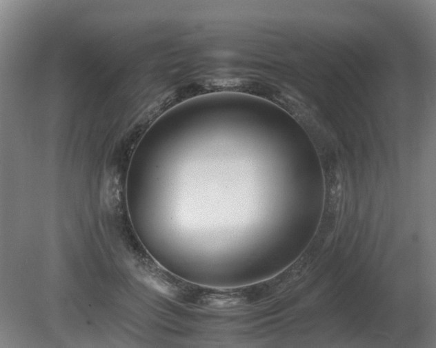 X0000081430555200701191625