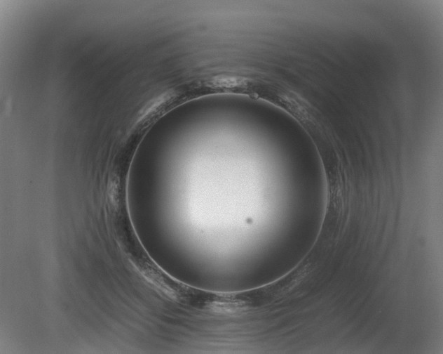 X0000081430556200701191625