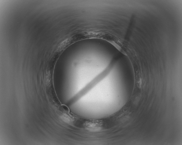 X0000081430563200701191625