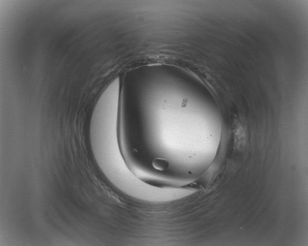X0000081430566200701191625