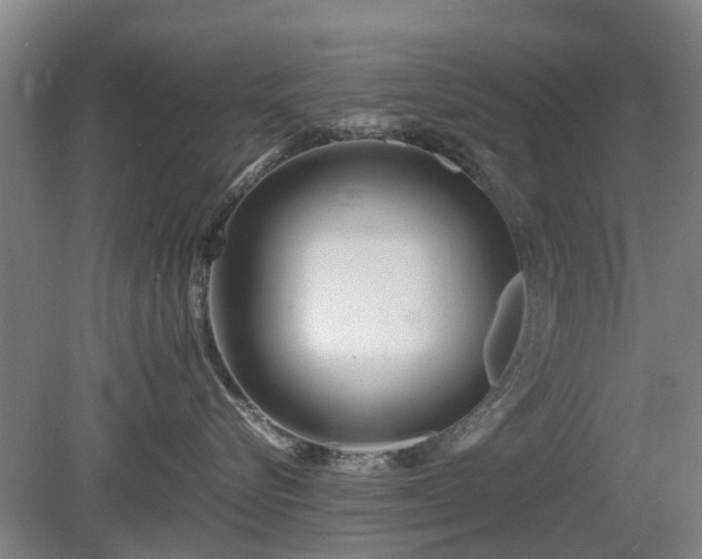 X0000081430576200701191625