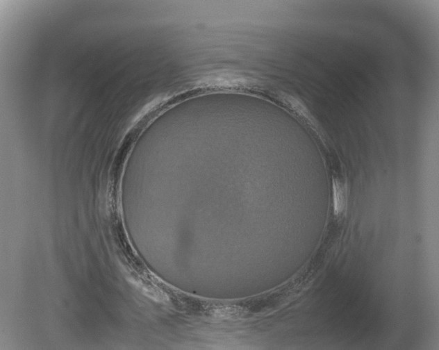 X0000081430579200701191624
