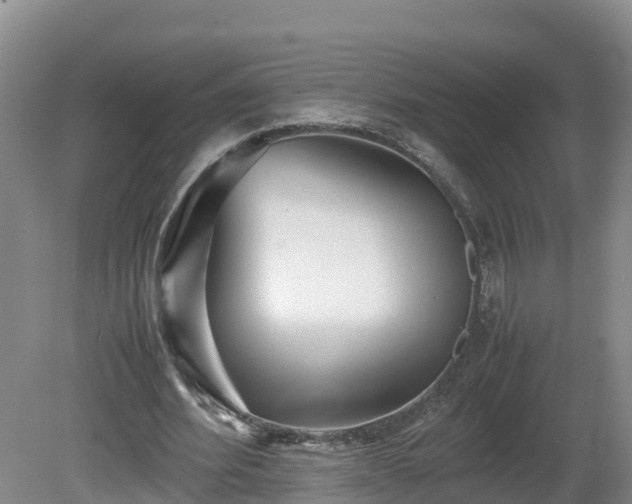 X0000081430580200701191624