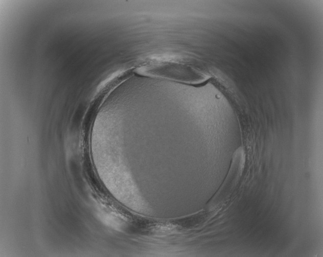 X0000081430583200701191624