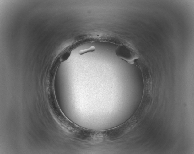 X0000081430587200701191624