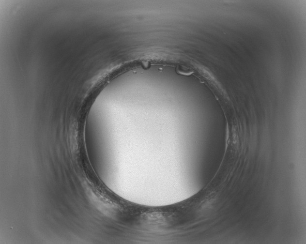 X0000081430588200701191624