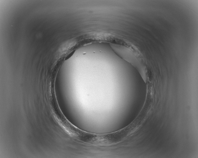 X0000081430589200701191624