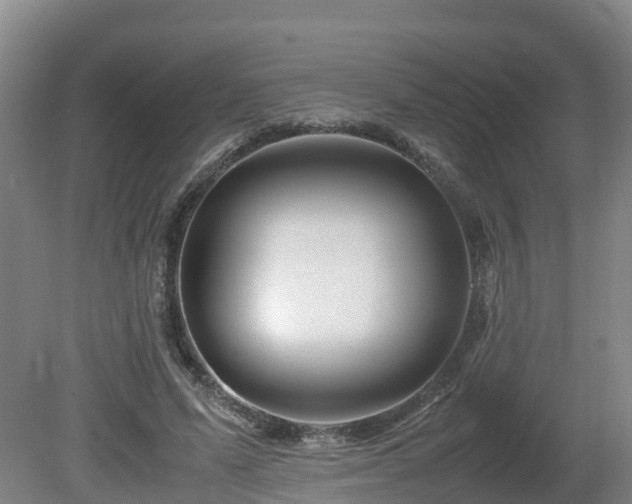 X0000081430591200701191624