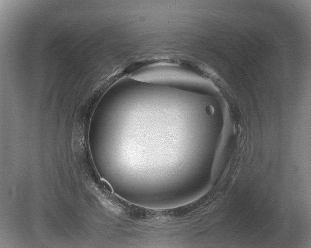 X0000081430593200701191624
