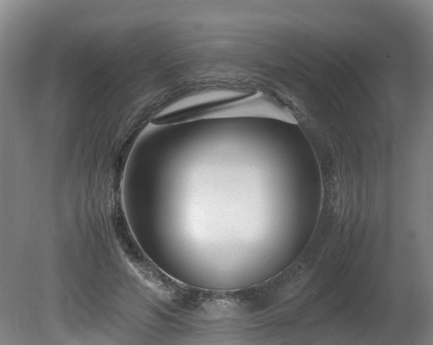 X0000081430594200701191624