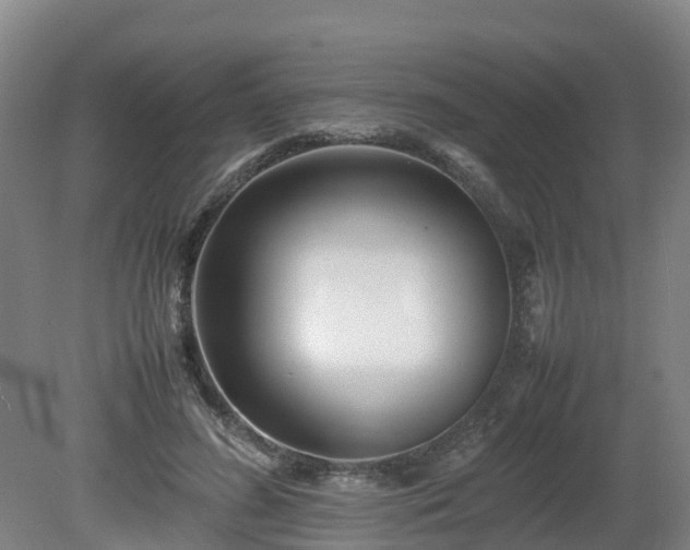X0000081430596200701191624