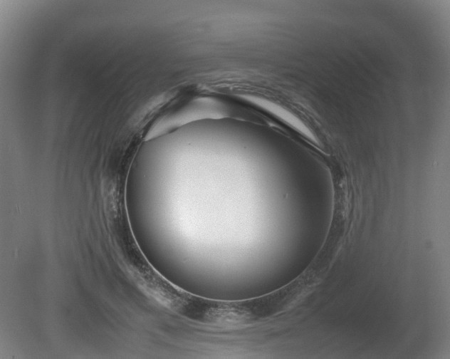 X0000081430597200701191624