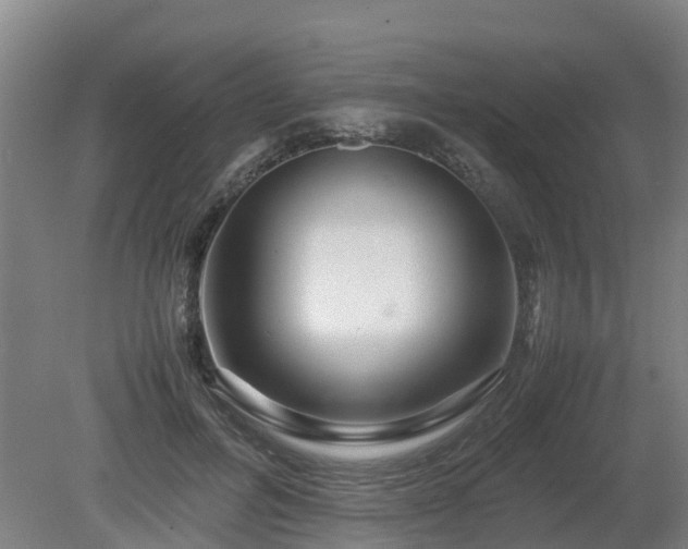 X0000081430600200701191624