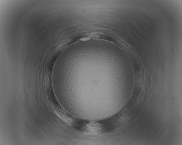 X0000081430603200701191624