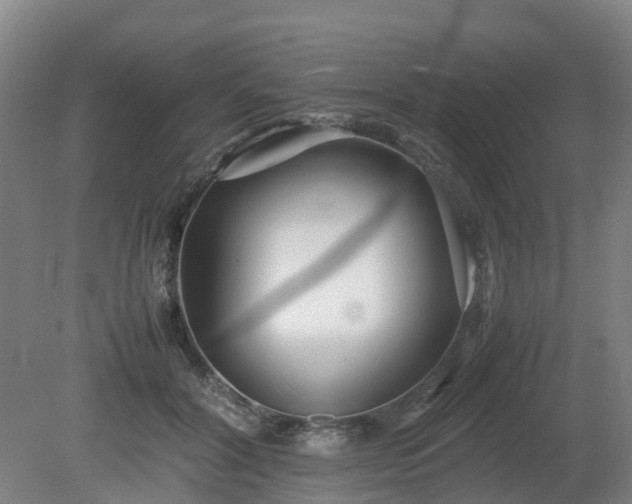 X0000081430604200701191624