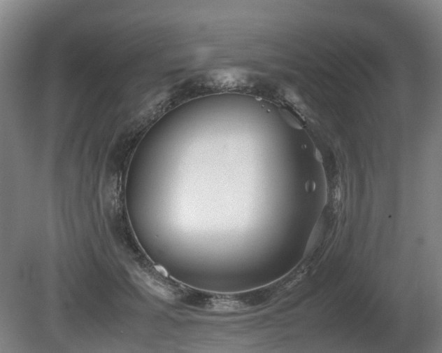X0000081430605200701191624