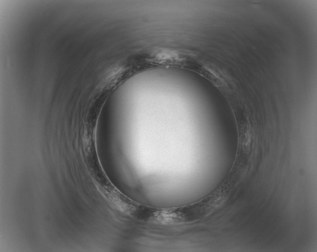 X0000081430607200701191624