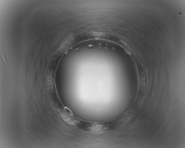 X0000081430609200701191624