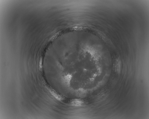 X0000081430610200701191624