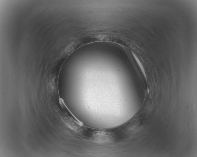 X0000081430611200701191624