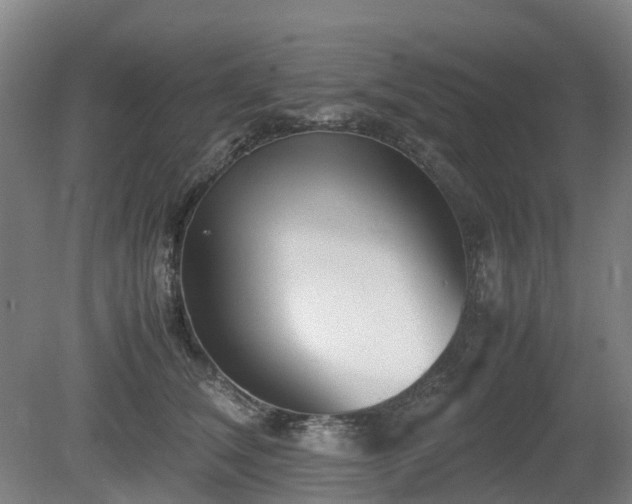 X0000081430612200701191624