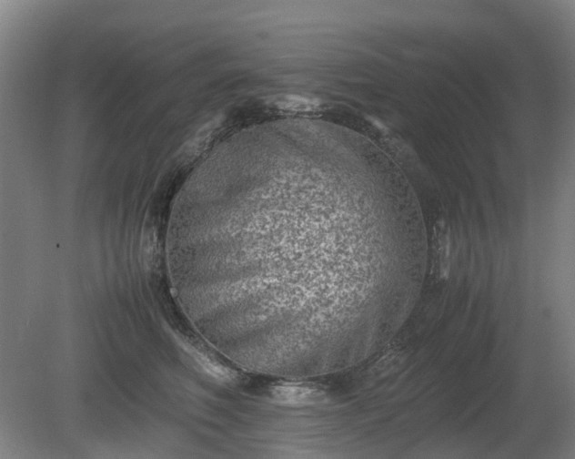 X0000081430614200701191624