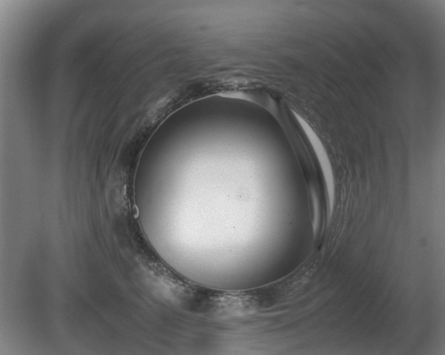 X0000081430615200701191623