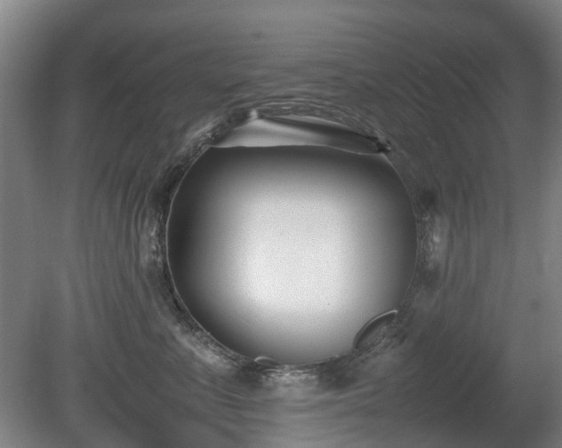 X0000081430619200701191623