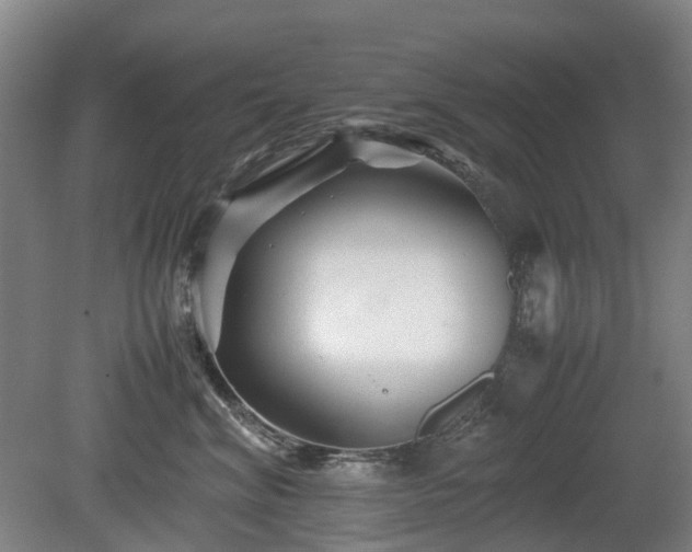 X0000081430620200701191623