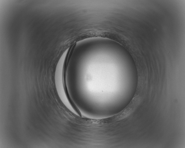 X0000081430624200701191623
