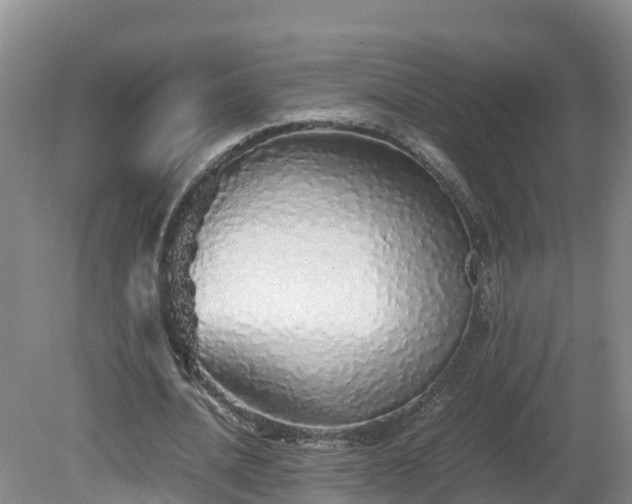 X0000081430628200701191623