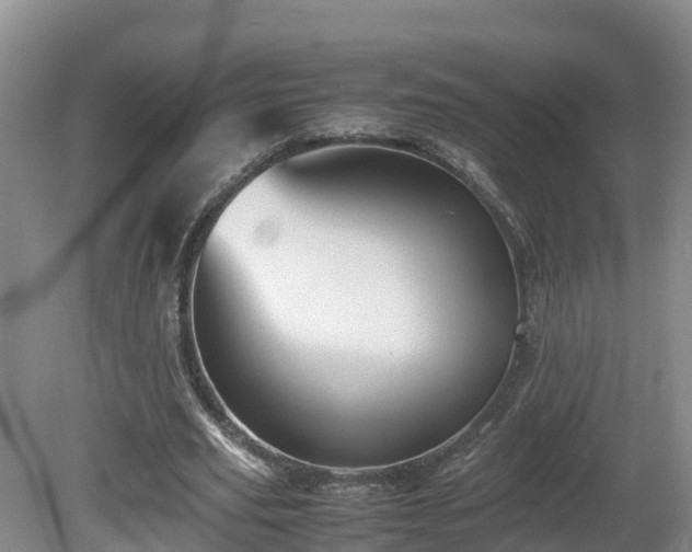 X0000081430629200701191623