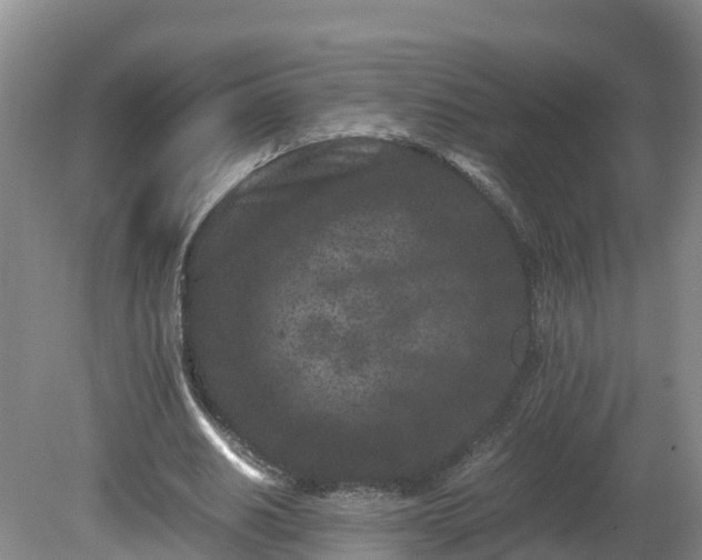 X0000081430630200701191623