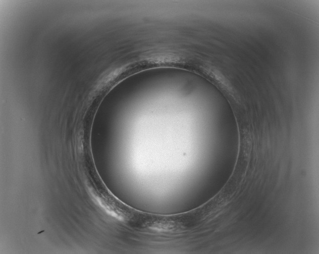 X0000081430631200701191623