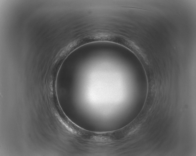 X0000081430633200701191623