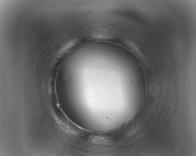 X0000081430635200701191623
