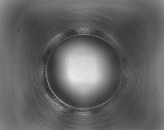 X0000081430645200701191623