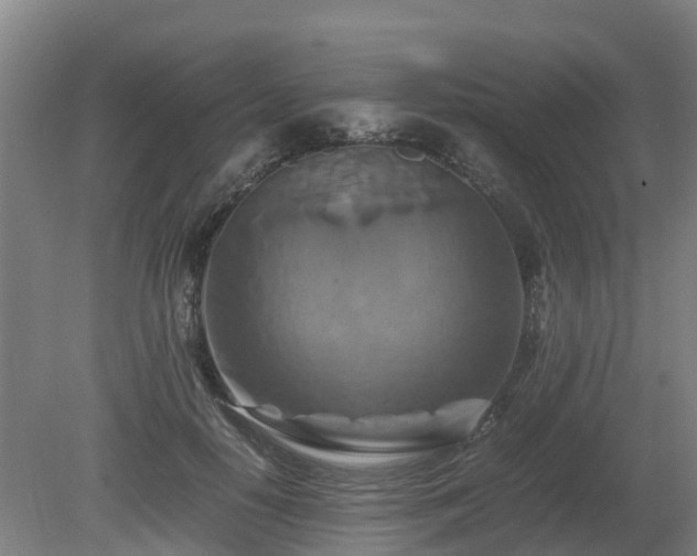X0000081430650200701191623