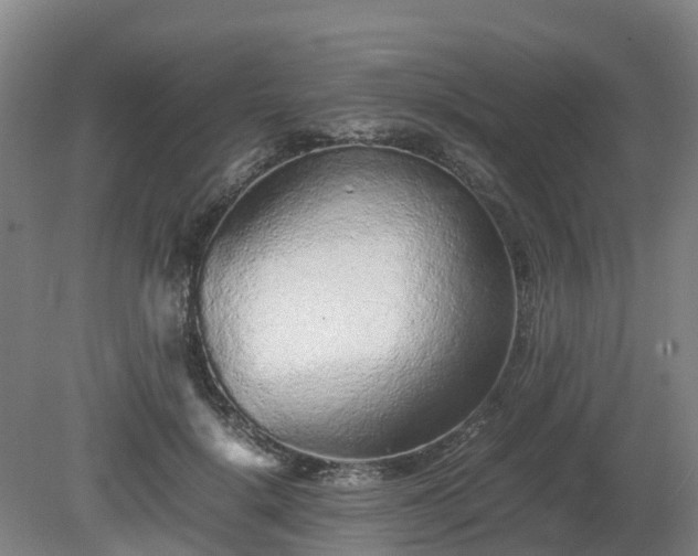 X0000081430652200701191623