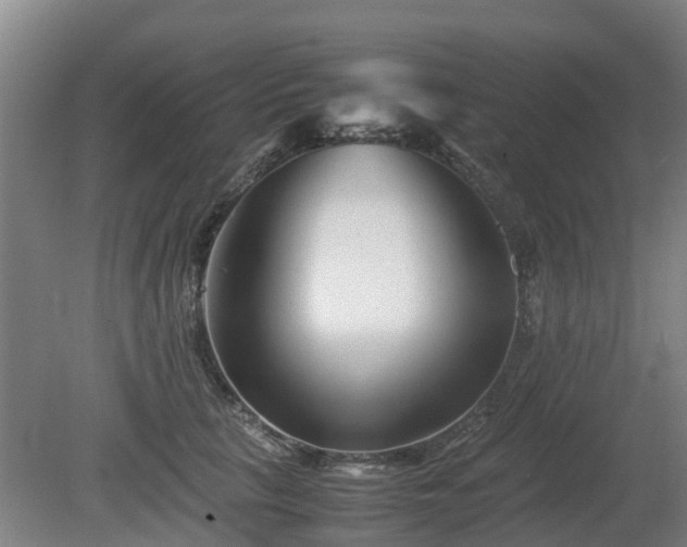 X0000081430657200701191623